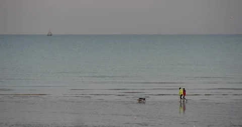 Couple walking on the beach Stock Footage 51756484