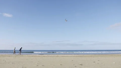 Couple Walking on Beach Stock Footage 82697806