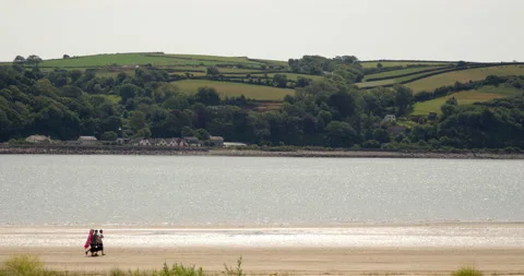 Couple walking on beach Stock Footage 227133326