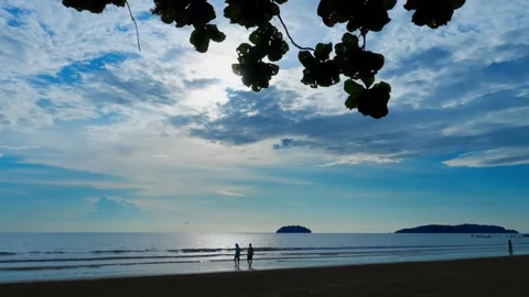 Couple walking at the beach Stock Footage 300690043