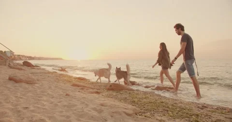 Couple walking on beach with siberian husky dogs Stock Footage 141462053