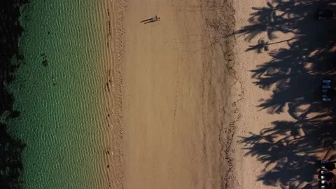 Couple walking on the beach on sunset long shadows Stock Footage 156431112