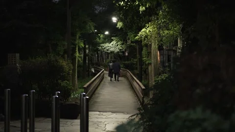 Couple walking on bridge at night Stock Footage 255813657