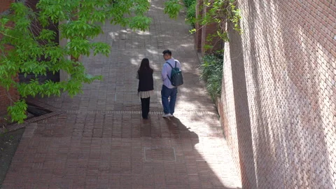 Couple walking on campus Stock Footage 244999068