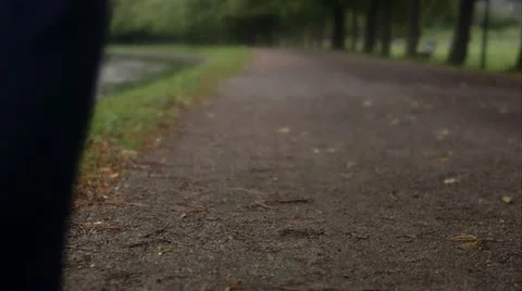 Couple walking by a canal Stock Footage 11290305