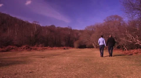Couple walking in the country Stock Footage 47779197