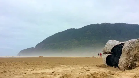 Couple walking dog on beach with cliffs, Oregon Coast Stock Footage 55212800