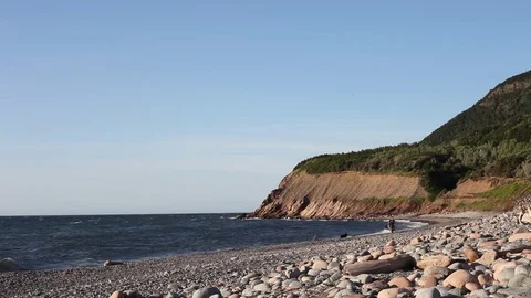 Couple walking with dog at beach with cliffs in background Stock Footage 83461820