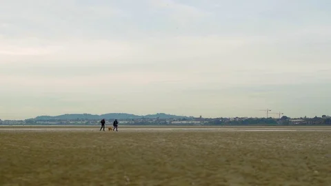 Couple Walking Dog On The Beach Stock-Footage 82469443
