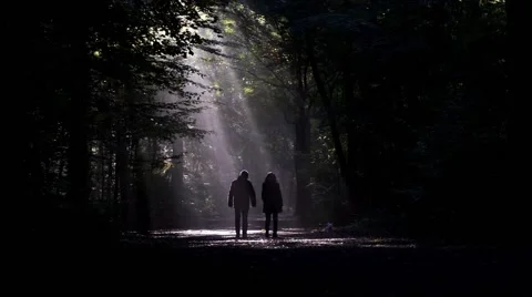 Couple walking the dog in dark forest Stock Footage 68841337