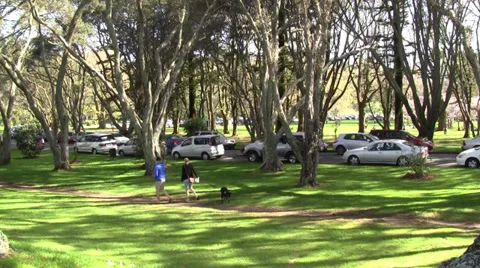 Couple walking with dog 库存影片 30255096