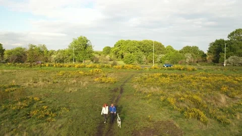 Couple walking with dog on footpath through grassy plain Stock-Footage 155822972