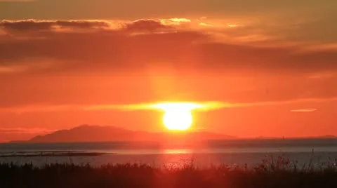 Couple walking dog at Sunset Video stock 12576599