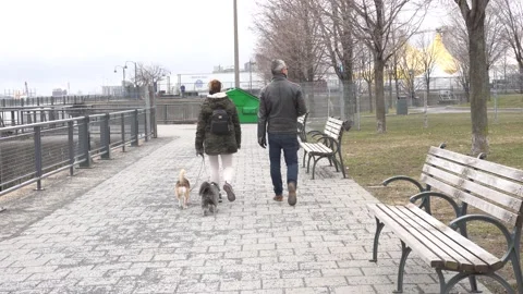 Couple walking with dogs Vídeos de archivo 132131758