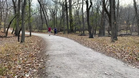 Couple walking down a forest preserve trail Stock Footage 142772002