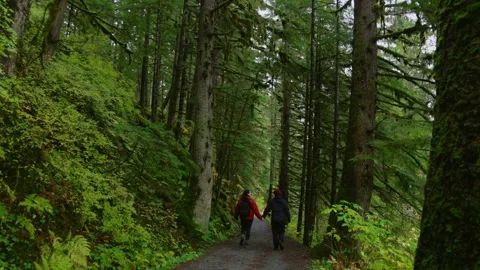 Couple walking down hiking path in rain Stock Footage 294709570
