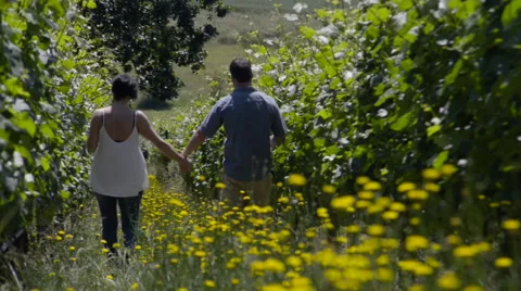 Couple walking down a Vineyard row Stock Footage 51800238