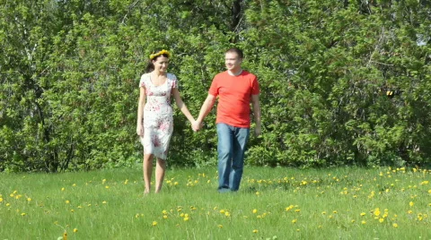 Couple walking on the field Stock Footage 715343