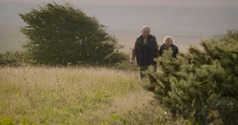Couple walking in field Stock Footage 59899542