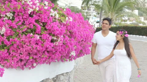 Couple walking by flowers Stock Footage 1092388