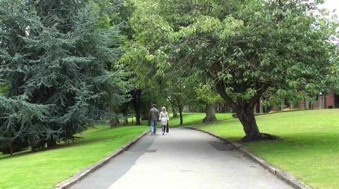Couple walking  Stock Footage 846565