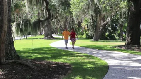 Couple walking Stock Footage 11427301