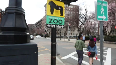 COUPLE WALKING Stock Footage 179972180