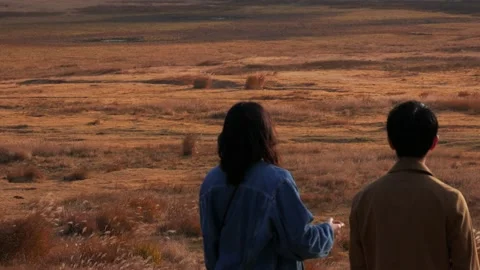 Couple Walking Stock Footage 235850998