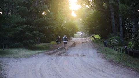 Couple Walking Stock Footage 267586083