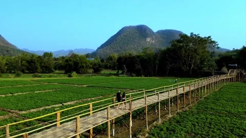 Couple walking on a footbridge 库存影片 314199330