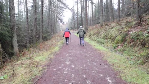 Couple walking on footpath through rural countryside woodland Vídeo Stock 194728810