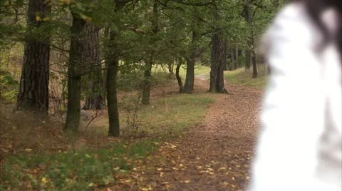 A couple walking in the forest Stock Footage 11317634