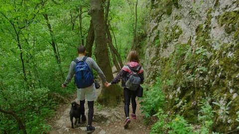 Couple walking in a forest Stock Footage 99962857