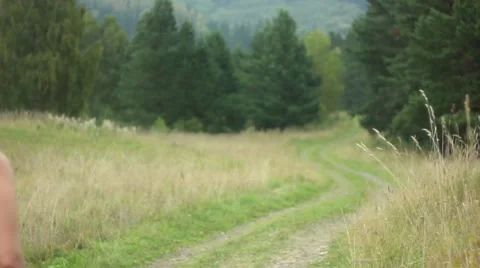 Couple walking in the forest hand Stock Footage 66527753