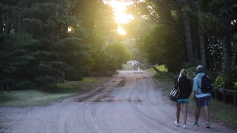 Couple Walking in the forest one summer afternoon Stock Footage 267594842