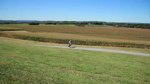 Couple walking in front of cornfields during Fall Video stock 29392140