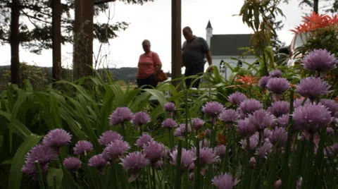 Couple walking in garden Stock Footage 25542073