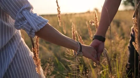 Couple walking in the grass field in sun rays Stock Footage 68355505
