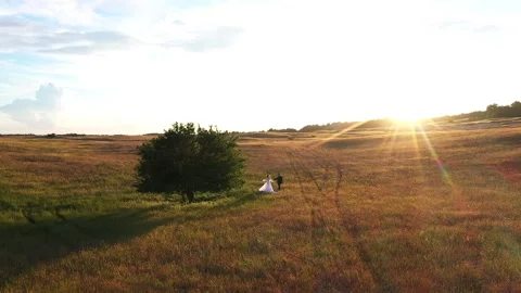 Couple walking hand in hand through a sunlit golden field, surrounded by vibrant Stock Footage 329563259