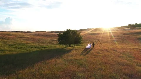 Couple walking hand in hand through a sunlit field, with vibrant grass and a Video stock 337054184