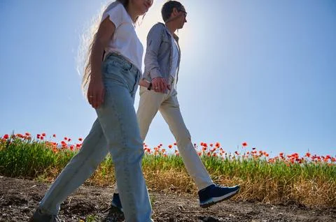 Couple Walking Hand in Hand Through Sunny Poppy Field on a Clear Spring Day Fotos Stock