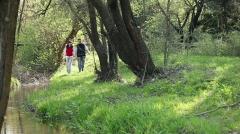 Couple Walking HD Video stock 684578