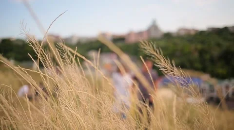 Couple walking holding hands on the background Stock Footage 68354783