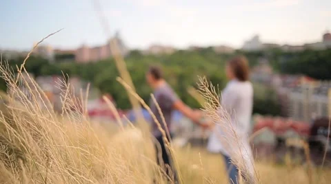 Couple walking holding hands on the background Stock Footage 68354790