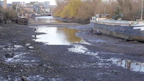 A Couple Walking In A Low Tide River Stock Footage 150408155