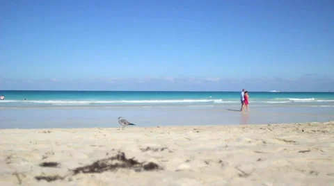 Couple Walking On Miami Beach Stock Footage 36034552
