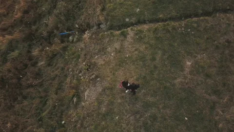Couple walking in the mountains Stock Footage 130353180
