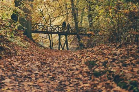 Couple walking over wooden bridge in autumn forest. Stock Photos