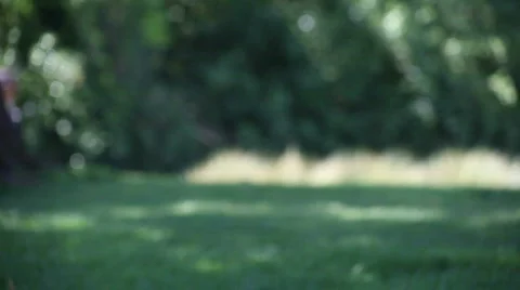 Couple walking in park Stock Footage 767899