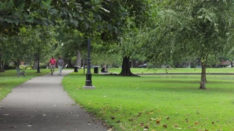 Couple Walking in Park Stock-Footage 41439220